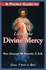 A Pocket Guide to Divine Mercy