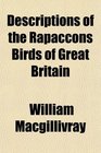 Descriptions of the Rapaccons Birds of Great Britain