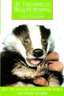 St Tiggywinkles Wildlife Hospital Wilf the Smallest Badger and Other Stories