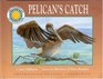 Pelican's Catch with Cassette(s) (Smithsonian Oceanic Collection)