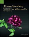 RosenSammlung Zu Wilhelmshohe