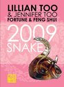 Fortune  Feng Shui 2009 Snake