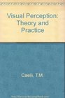 Visual Perception Theory and Practice