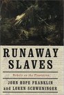 Runaway Slaves Rebels on the Plantation