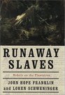 Runaway Slaves: Rebels on the Plantation