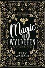 Constancy (Magic of Wyldefen)