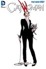Catwoman Vol 6