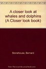 A closer look at whales and dolphins