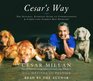 Cesar's Way: The Natural, Everyday Guide to Understanding and Correcting Common Dog Problems (Audio CD)