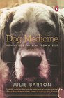 Dog Medicine How My Dog Saved Me From Myself