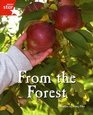 Fantastic Forest Red Level NonFiction From the Forest