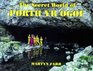 The Secret World of Porth yr Ogof