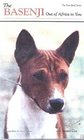 The Basenji Out of Africa Revised Edition  A New Look
