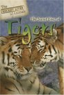 The Secret Lives of Tigers