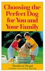 Choosing the Perfect Dog for You and Your Family