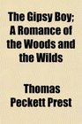 The Gipsy Boy A Romance of the Woods and the Wilds