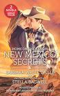 Home on the Ranch New Mexico Secrets