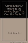 A Breed Apart A Tribute to the Hunting Dogs That Own Our Souls Volume 2
