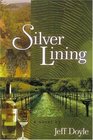 Silver Lining Special Assets 3