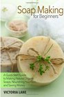 Soap Making for Beginners A Quick Start Guide to Making Natural Organic Soaps Nourishing Your Skin and Saving Money
