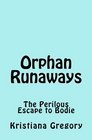 Orphan Runaways The Perilous Escape to Bodie