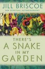 There's a Snake in My Garden A Spiritual Autobiography
