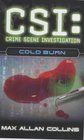 Cold Burn (CSI: Crime Scene Investigation, Bk 3)