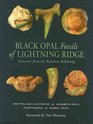 Black Opal Fossils of Lightning Ridge  Treasures from the Rainbow Billabong