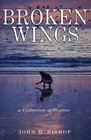 Broken Wings A Collection of Stories