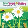 From Seed to Daisy Following the Life Cycle