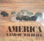 America Land of Wildlife