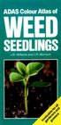 Colour Atlas of Weed Seedlings