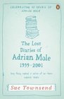 The Lost Diaries of Adrian Mole 1999 to 2001