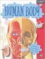 Human Body