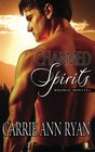 Charmed Spirits (Holiday, Montana, Bk 1)