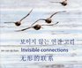 Invisible Connections Why Migrating Shorebirds Need the Yellow Sea
