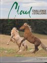 Cloud Challenge of the Stallions