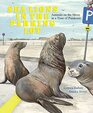 Sea Lions in the Parking Lot Animals On The Move In A Time Of Pandemic