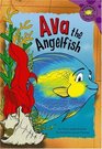 Ava the Angelfish