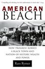American Beach  How Progress Robbed a Black Townand Nationof History Wealth and Power