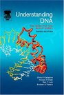 Understanding DNA  The Molecule and How it Works