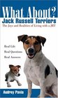 What About Jack Russell Terriers The Joys and Realities of Living with a JRT