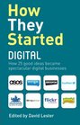 How They Started Digital David Lester Carol Tice