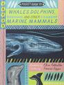 Pocket Guide to Whales Dolphins and other Marine Mammals