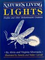 Nature's Living Lights Fireflies and Other Bioluminescent Creatures