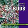 The Big Book of Buds: Marijuana Varieties from the World's Great Seed Breeders