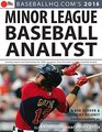 2016 Minor League Baseball Analyst
