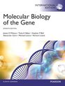 Molecular Biology of the Gene International Edition
