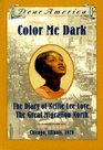 Color Me Dark The Diary of Nellie Lee LoveThe Great Migration North Chicago Illinois 1919