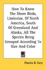 How To Know The Shore Birds Limicolae Of North America South Of Greenland And Alaska All The Species Being Grouped According To Size And Color
